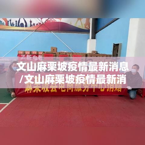 文山麻栗坡疫情最新消息/文山麻栗坡疫情最新消息新闻 文山麻栗坡疫情最新消息/文山麻栗坡疫情最新消息新闻