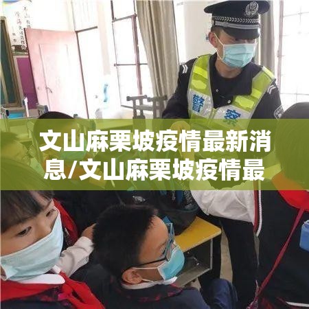 文山麻栗坡疫情最新消息/文山麻栗坡疫情最新消息新闻 文山麻栗坡疫情最新消息/文山麻栗坡疫情最新消息新闻
