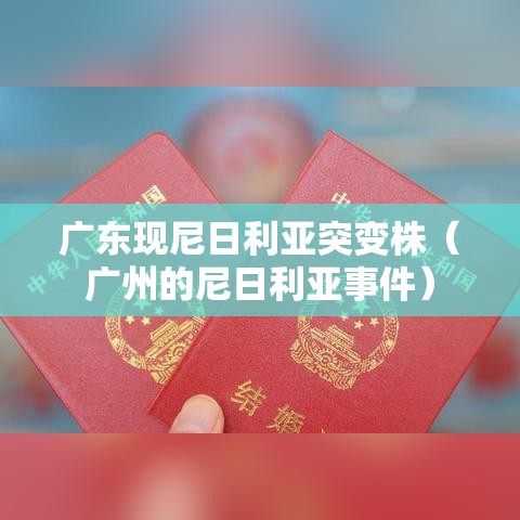 广东现尼日利亚突变株(广州的尼日利亚事件) 广东现尼日利亚突变株(广州的尼日利亚事件)