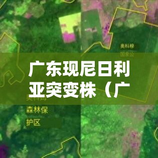 广东现尼日利亚突变株(广州的尼日利亚事件) 广东现尼日利亚突变株(广州的尼日利亚事件)