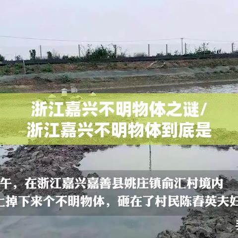 浙江嘉兴不明物体之谜/浙江嘉兴不明物体到底是什么 浙江嘉兴不明物体之谜/浙江嘉兴不明物体到底是什么