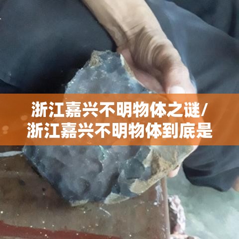 浙江嘉兴不明物体之谜/浙江嘉兴不明物体到底是什么 浙江嘉兴不明物体之谜/浙江嘉兴不明物体到底是什么