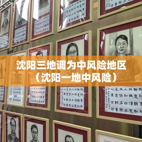 沈阳三地调为中风险地区(沈阳一地中风险) 沈阳三地调为中风险地区(沈阳一地中风险)