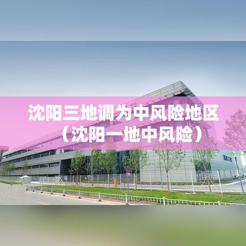 沈阳三地调为中风险地区(沈阳一地中风险) 沈阳三地调为中风险地区(沈阳一地中风险)