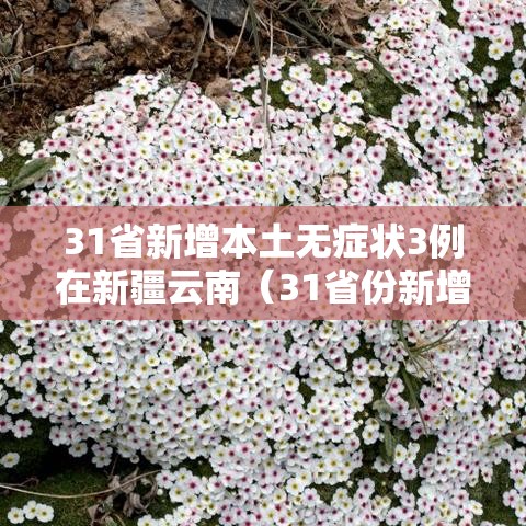 31省新增本土无症状3例在新疆云南(31省份新增29例本土病例 20例在新疆) 31省新增本土无症状3例在新疆云南(31省份新增29例本土病例 20例在新疆)
