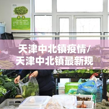 天津中北镇疫情/天津中北镇最新规划 天津中北镇疫情/天津中北镇最新规划