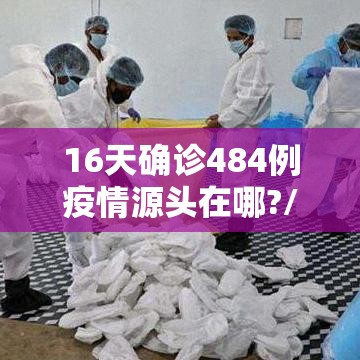 16天确诊484例疫情源头在哪?/最新疫情源头到底在哪里 16天确诊484例疫情源头在哪?/最新疫情源头到底在哪里