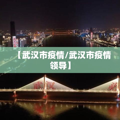 【武汉市疫情/武汉市疫情领导】 【武汉市疫情/武汉市疫情领导】