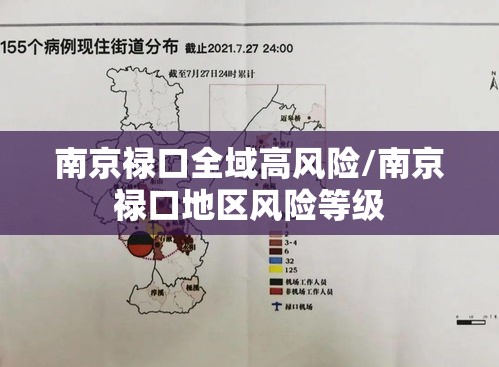 南京禄口全域高风险/南京禄口地区风险等级 南京禄口全域高风险/南京禄口地区风险等级