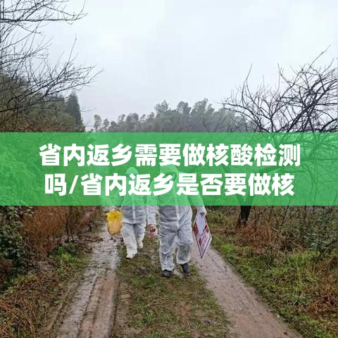 省内返乡需要做核酸检测吗/省内返乡是否要做核酸检测 省内返乡需要做核酸检测吗/省内返乡是否要做核酸检测