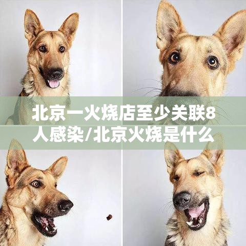 北京一火烧店至少关联8人感染/北京火烧是什么东西 北京一火烧店至少关联8人感染/北京火烧是什么东西