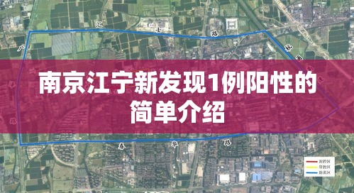 南京江宁新发现1例阳性的简单介绍 南京江宁新发现1例阳性的简单介绍