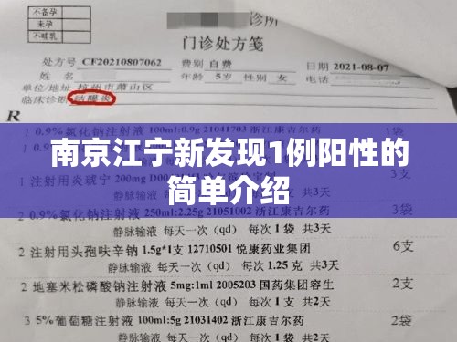 南京江宁新发现1例阳性的简单介绍 南京江宁新发现1例阳性的简单介绍