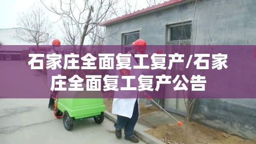 石家庄全面复工复产/石家庄全面复工复产公告