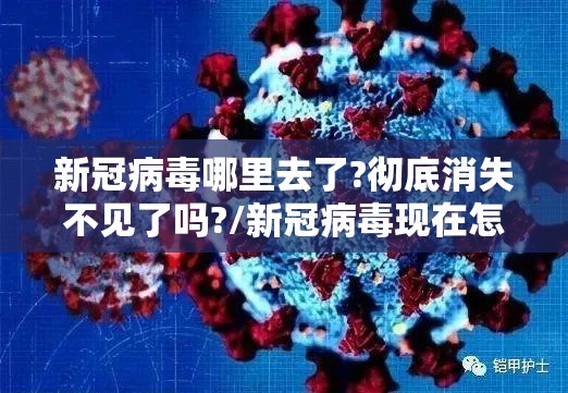 新冠病毒哪里去了?彻底消失不见了吗?/新冠病毒现在怎样了 新冠病毒哪里去了?彻底消失不见了吗?/新冠病毒现在怎样了