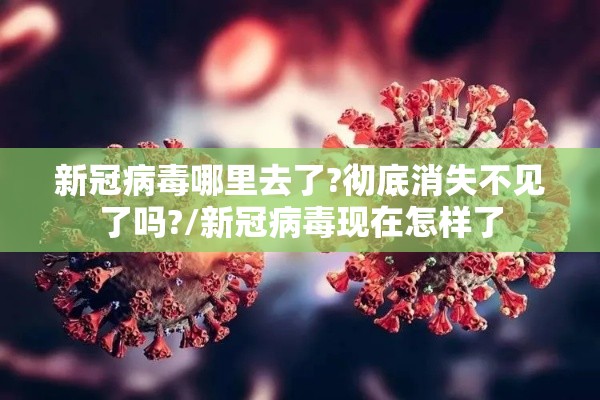 新冠病毒哪里去了?彻底消失不见了吗?/新冠病毒现在怎样了 新冠病毒哪里去了?彻底消失不见了吗?/新冠病毒现在怎样了