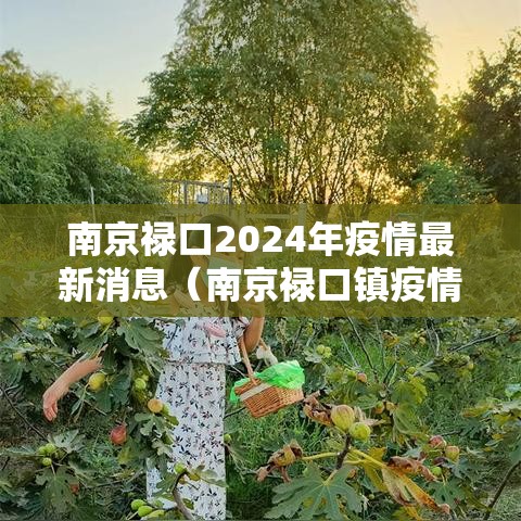南京禄口2024年疫情最新消息(南京禄口镇疫情最新消息) 南京禄口2024年疫情最新消息(南京禄口镇疫情最新消息)