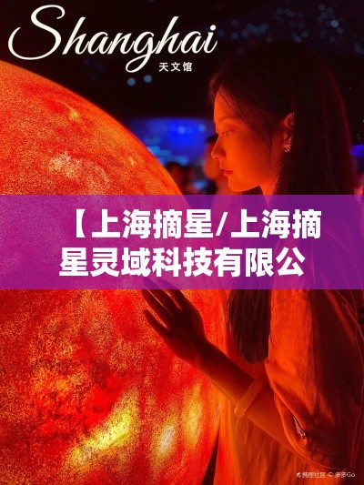 【上海摘星/上海摘星灵域科技有限公司】