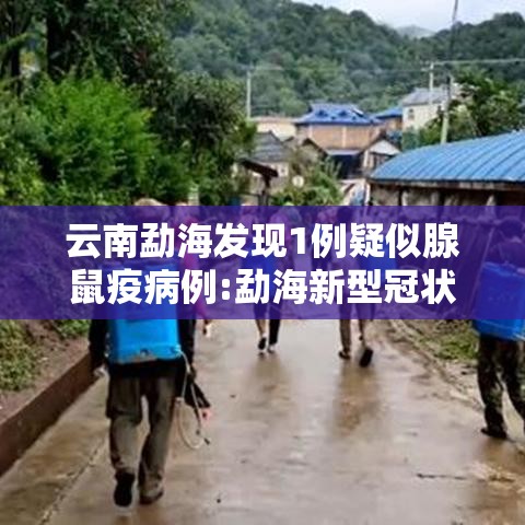 云南勐海发现1例疑似腺鼠疫病例:勐海新型冠状病毒疫情通报 云南勐海发现1例疑似腺鼠疫病例:勐海新型冠状病毒疫情通报
