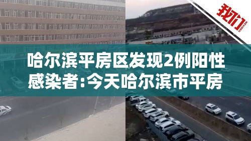 哈尔滨平房区发现2例阳性感染者:今天哈尔滨市平房区有感染者吗? 哈尔滨平房区发现2例阳性感染者:今天哈尔滨市平房区有感染者吗?