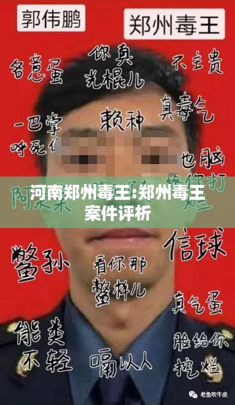河南郑州毒王:郑州毒王案件评析 河南郑州毒王:郑州毒王案件评析