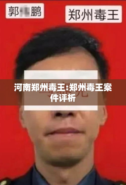 河南郑州毒王:郑州毒王案件评析 河南郑州毒王:郑州毒王案件评析