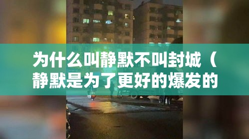 为什么叫静默不叫封城(静默是为了更好的爆发的意思) 为什么叫静默不叫封城(静默是为了更好的爆发的意思)
