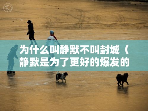 为什么叫静默不叫封城(静默是为了更好的爆发的意思) 为什么叫静默不叫封城(静默是为了更好的爆发的意思)