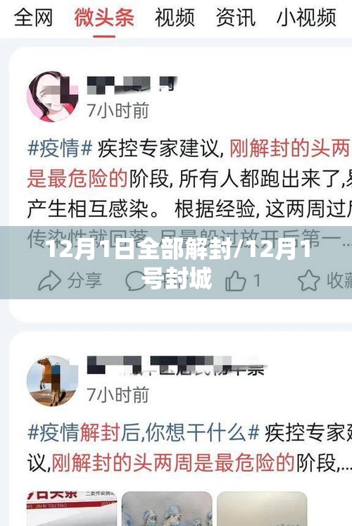 12月1日全部解封/12月1号封城 12月1日全部解封/12月1号封城
