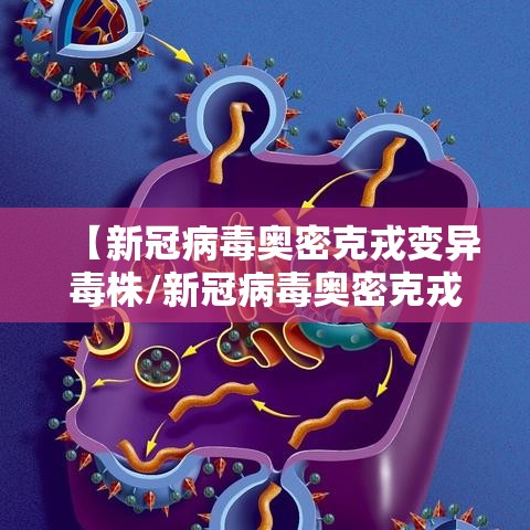 【新冠病毒奥密克戎变异毒株/新冠病毒奥密克戎变异毒株有哪些】 【新冠病毒奥密克戎变异毒株/新冠病毒奥密克戎变异毒株有哪些】