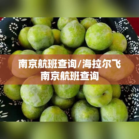 南京航班查询/海拉尔飞南京航班查询 南京航班查询/海拉尔飞南京航班查询