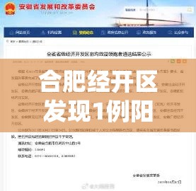 合肥经开区发现1例阳性:合肥经开区确诊病例