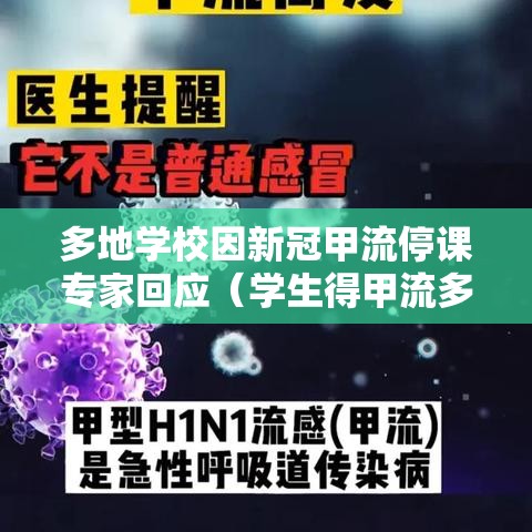 多地学校因新冠甲流停课专家回应(学生得甲流多久能上课) 多地学校因新冠甲流停课专家回应(学生得甲流多久能上课)