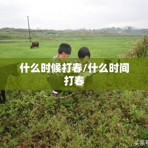什么时候打春/什么时间打春 什么时候打春/什么时间打春