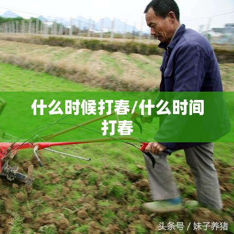 什么时候打春/什么时间打春 什么时候打春/什么时间打春
