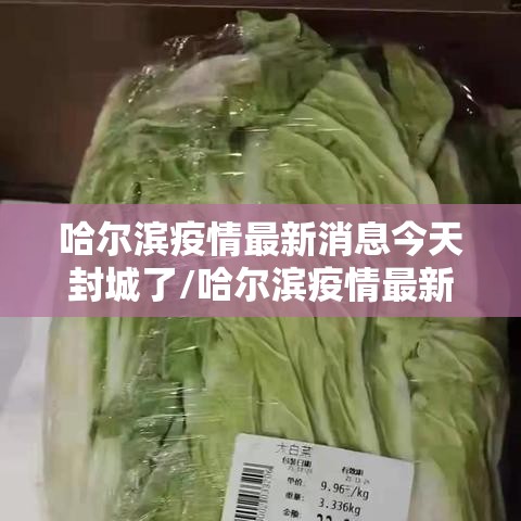 哈尔滨疫情最新消息今天封城了/哈尔滨疫情最新通知今天 哈尔滨疫情最新消息今天封城了/哈尔滨疫情最新通知今天