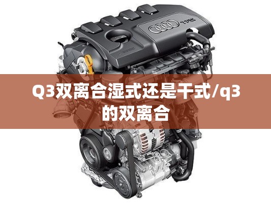 Q3双离合湿式还是干式/q3的双离合 Q3双离合湿式还是干式/q3的双离合