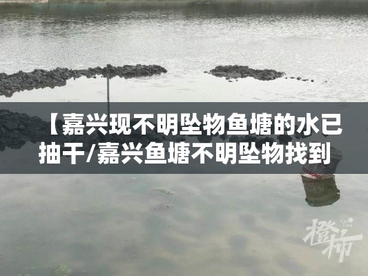 【嘉兴现不明坠物鱼塘的水已抽干/嘉兴鱼塘不明坠物找到了吗】