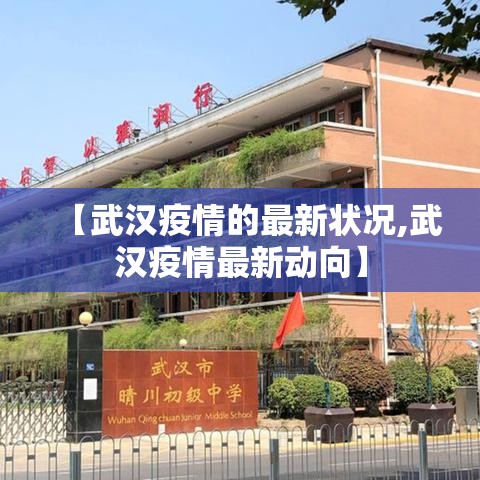 【武汉疫情的最新状况,武汉疫情最新动向】