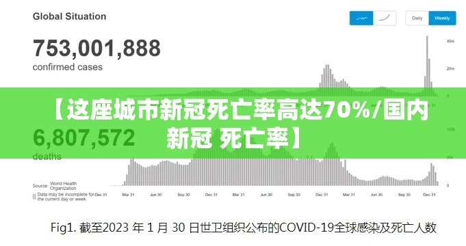 【这座城市新冠死亡率高达70%/国内 新冠 死亡率】 【这座城市新冠死亡率高达70%/国内 新冠 死亡率】