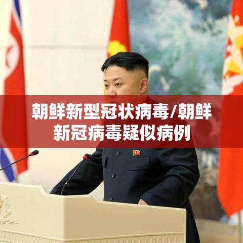 朝鲜新型冠状病毒/朝鲜新冠病毒疑似病例 朝鲜新型冠状病毒/朝鲜新冠病毒疑似病例