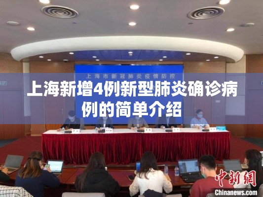 上海新增4例新型肺炎确诊病例的简单介绍 上海新增4例新型肺炎确诊病例的简单介绍