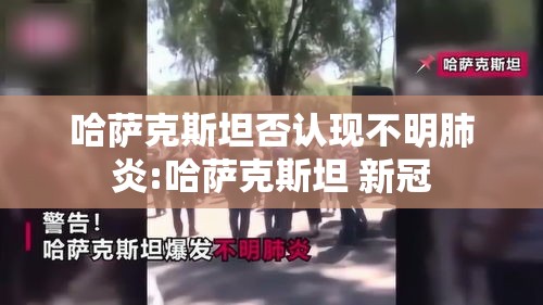 哈萨克斯坦否认现不明肺炎:哈萨克斯坦 新冠 哈萨克斯坦否认现不明肺炎:哈萨克斯坦 新冠