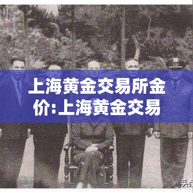 上海黄金交易所金价:上海黄金交易所金价今日实时行情 上海黄金交易所金价:上海黄金交易所金价今日实时行情