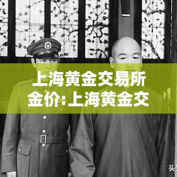 上海黄金交易所金价:上海黄金交易所金价今日实时行情 上海黄金交易所金价:上海黄金交易所金价今日实时行情