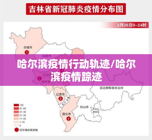 哈尔滨疫情行动轨迹/哈尔滨疫情踪迹 哈尔滨疫情行动轨迹/哈尔滨疫情踪迹