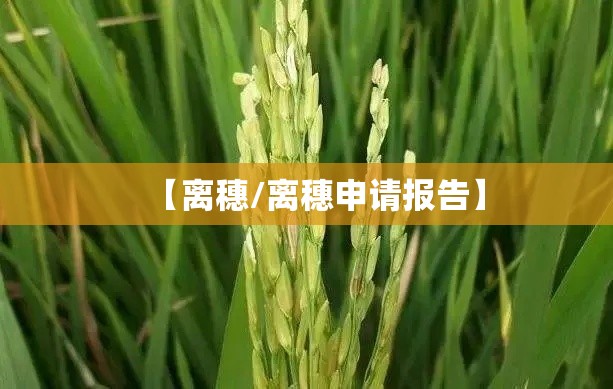 【离穗/离穗申请报告】 【离穗/离穗申请报告】