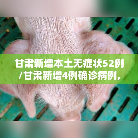 甘肃新增本土无症状52例/甘肃新增4例确诊病例,累计确诊71例,新增疑似病例5例 甘肃新增本土无症状52例/甘肃新增4例确诊病例,累计确诊71例,新增疑似病例5例