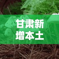 甘肃新增本土无症状52例/甘肃新增4例确诊病例,累计确诊71例,新增疑似病例5例 甘肃新增本土无症状52例/甘肃新增4例确诊病例,累计确诊71例,新增疑似病例5例