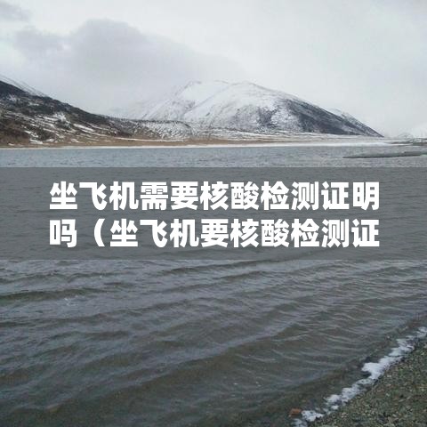 坐飞机需要核酸检测证明吗(坐飞机要核酸检测证明么) 坐飞机需要核酸检测证明吗(坐飞机要核酸检测证明么)